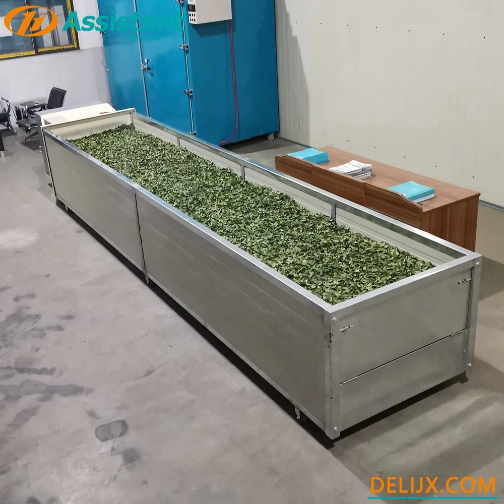 China 5 Meters Length Black Tea Withering Processing Machine DL-6CWD-580 manufacturer